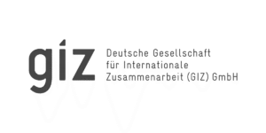 Logo GIZ
